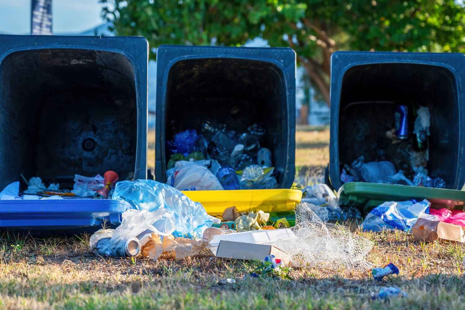 Debris Removal in Sunrise Beach Village, TX